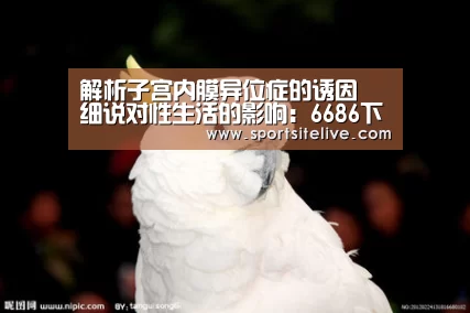 6686官网