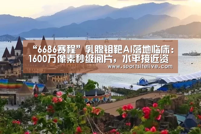 “6686赛程”乳腺钼靶AI落地临床:1600万像素秒级阅片,水平接近资深医生(图3) 6686导航
