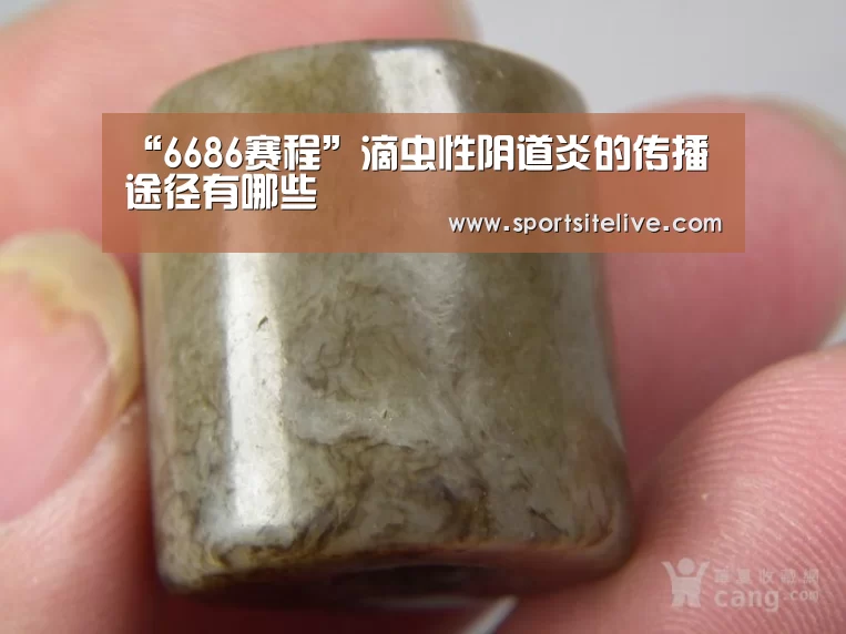 “6686赛程”滴虫性阴道炎的传播途径有哪些(图2) 6686下载