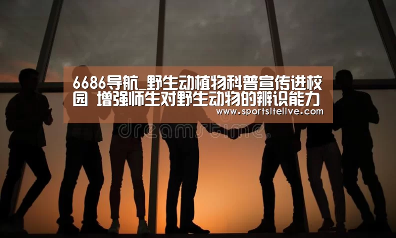 6686下载
